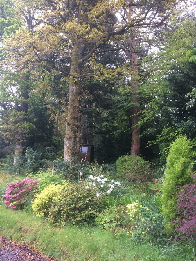 Bed and Breakfast Claremont House Keswick Кесвік Екстер'єр фото